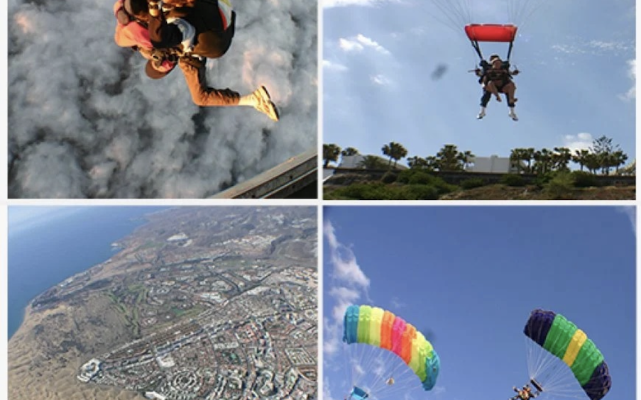 gallery grid image